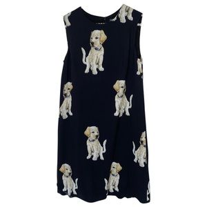 Dolce Gabbana Labrador puppy dress